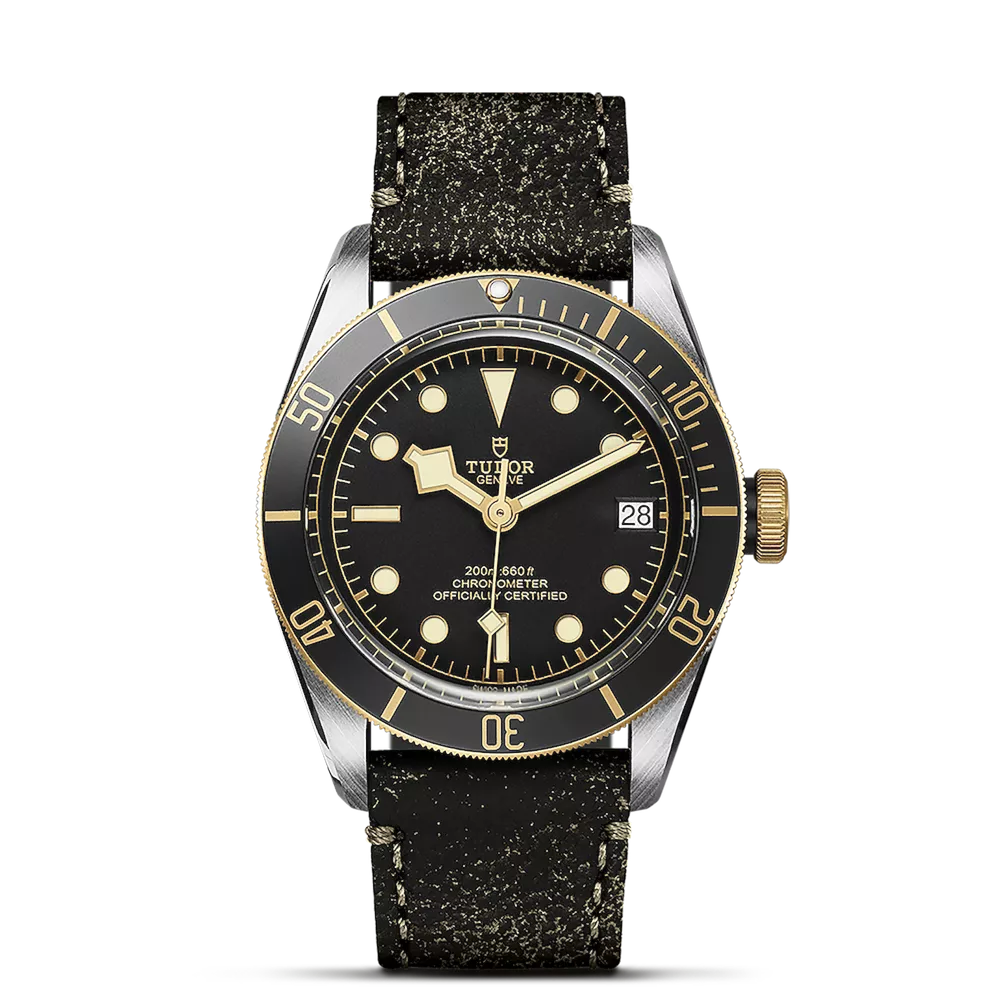 Tudor Black Bay S G ref. M79733N 0007 Tomasini Francia
